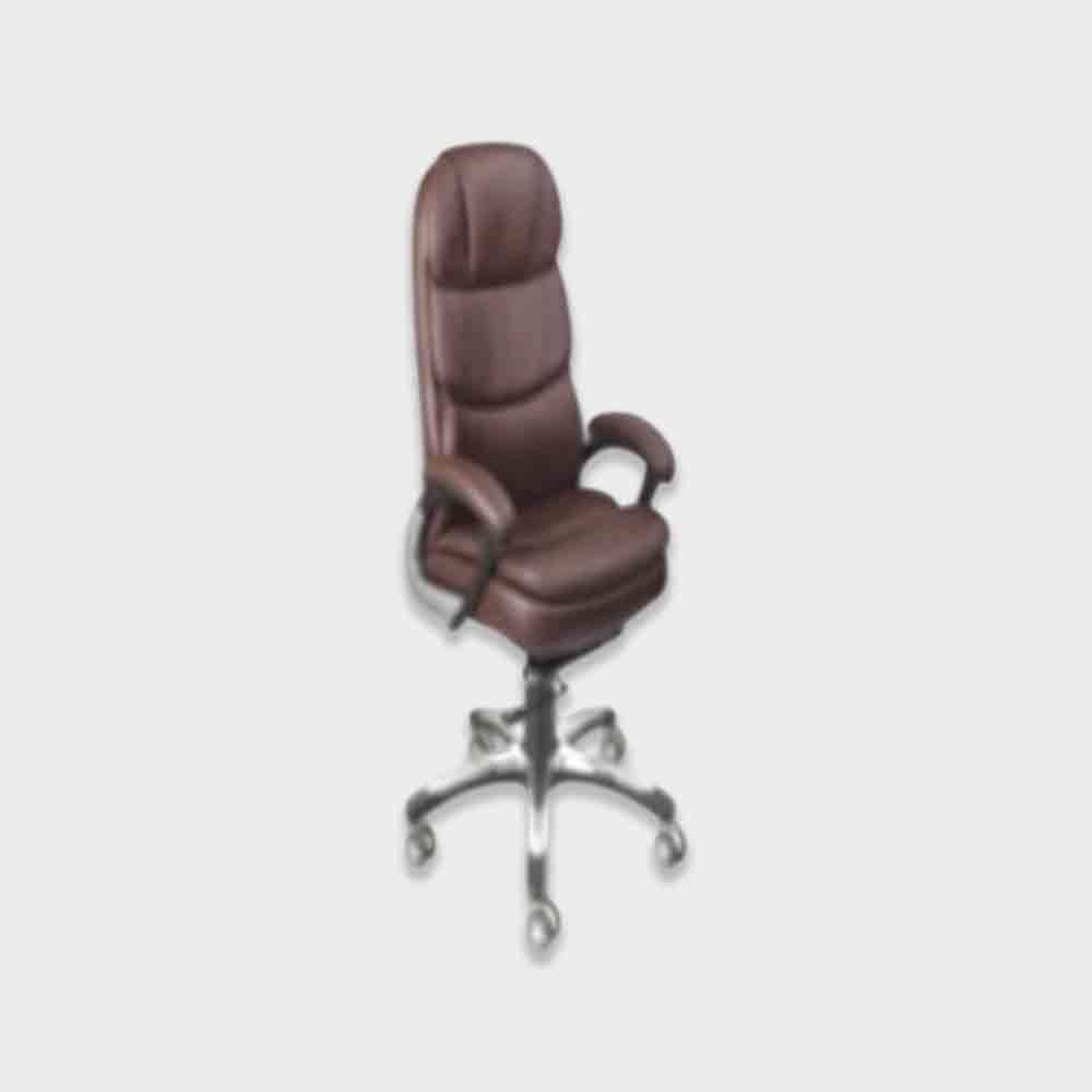 Director-20